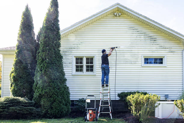 Best Sidewalk and Walkway Cleaning  in Crest, CA